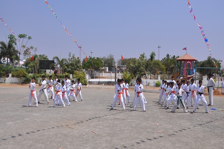 Akv Public School-Karate