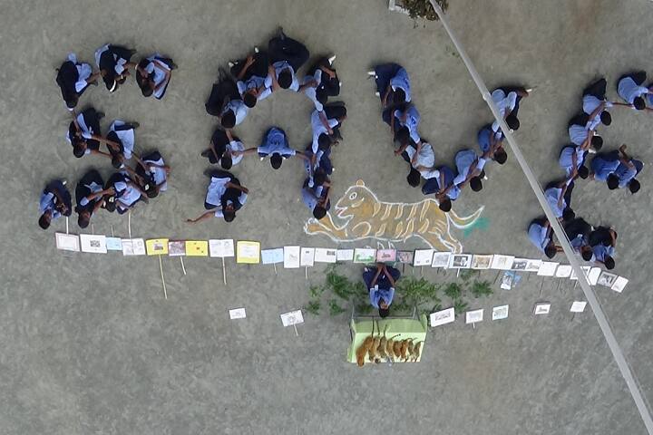 Akv Public School- Tiger Day