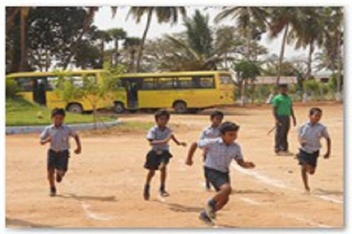 Aurobindo vidhyalaya School-Schoolsports day