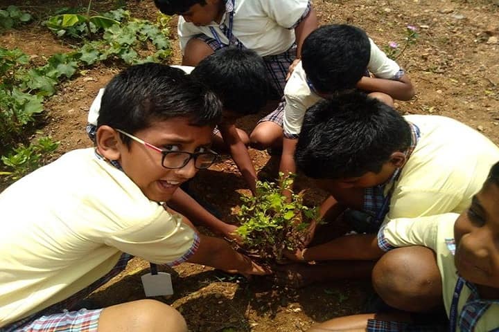 Avatar Public School-Plant A Tree
