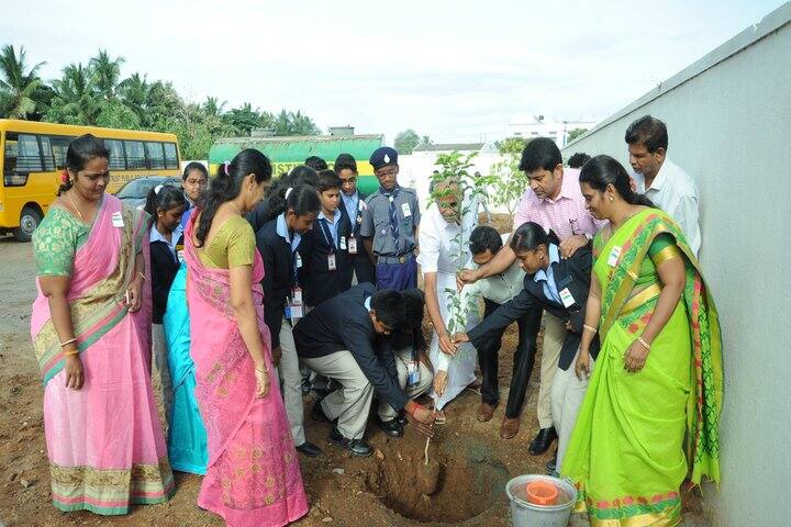 AVP Trust Public School-Tree Plantation