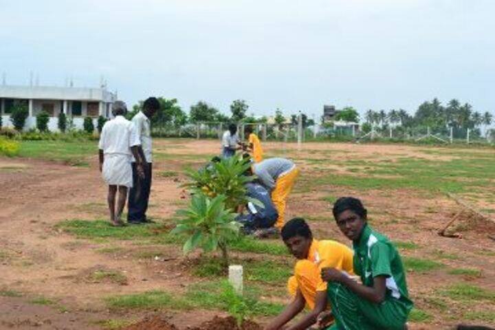 Bharathi Vidhya Bhavan School-Tree Plantation