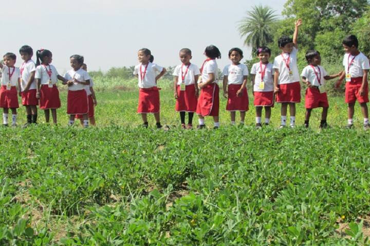 Billabong High International School-Field Trip
