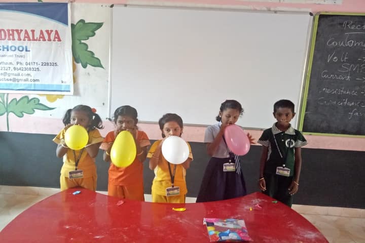 Brammaas Vidhyalaya School-Activity