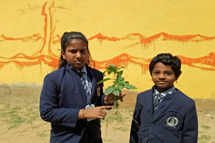 Brammaas Vidhyalaya School-Environment Day