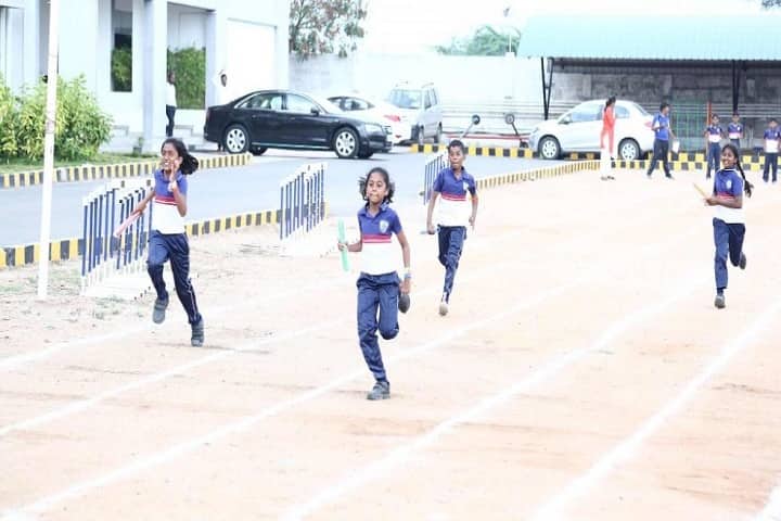Brilliant Vidya Bhavan-Sports