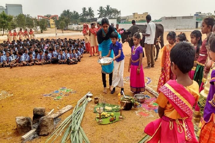 Brindhavan Vidhyalaya Public School-Pongal Celebrations