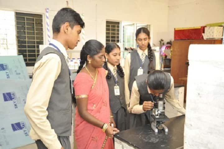 Brindhavanna Vidhialaya School-Science Expo