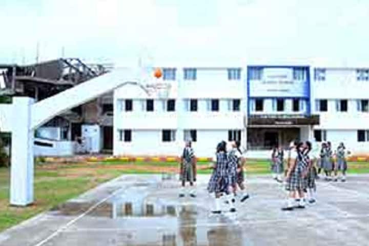 Cauvery Global School-Sports basketball