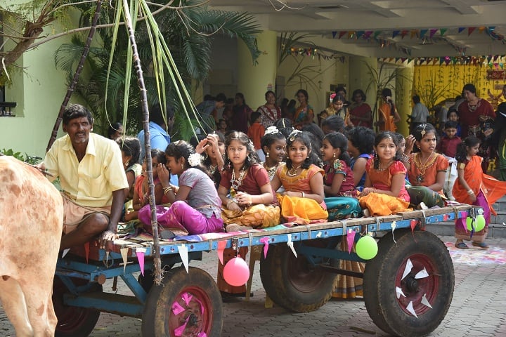 Ceedeeyes Dav Public School - Cultural Activities