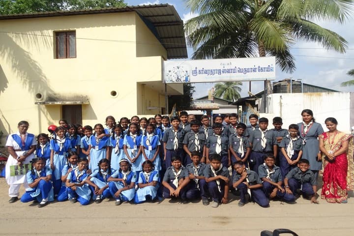 Dayasadan Agarwal Vidyalaya-Scouts And Guide