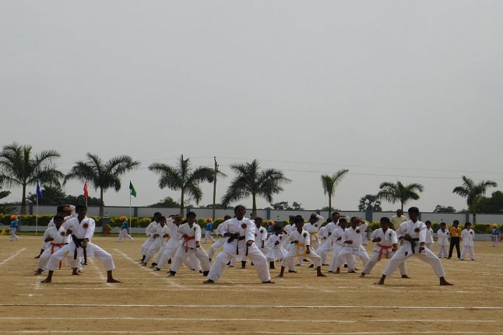 Dheeran Chinnamalai International Residential School-Karate
