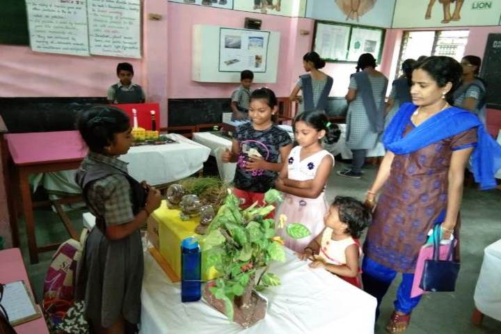 Dr Nalli Kuppuswamy Vivekananda Vidyalaya Junior College-School Exhibition