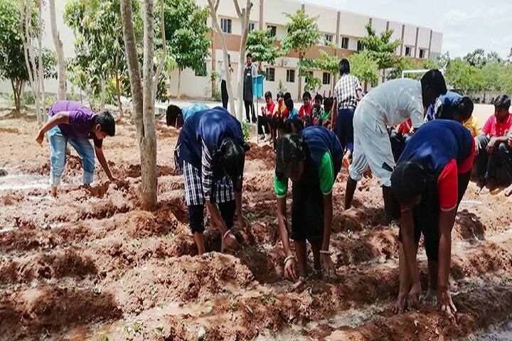 Dr SRK Vidhyalaya-Others