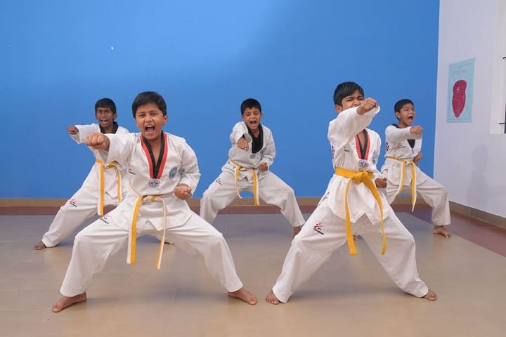 Frontline Millennium School-Karate