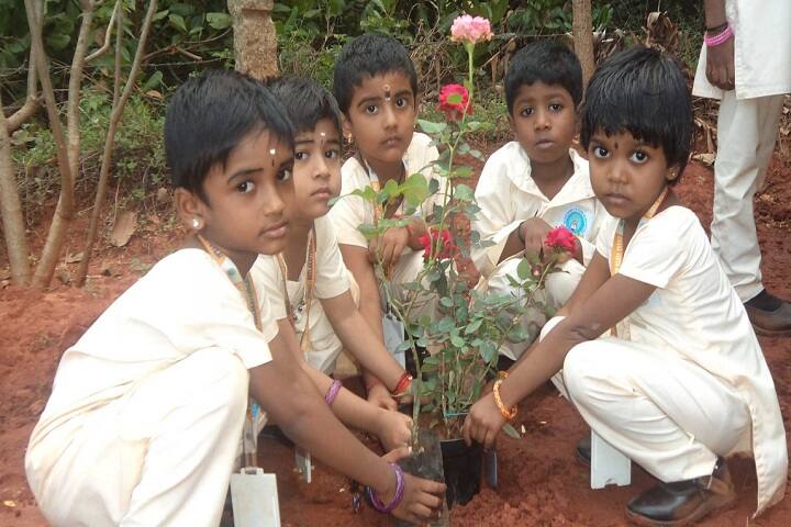 Gnana Vidya Mandir-Plantation