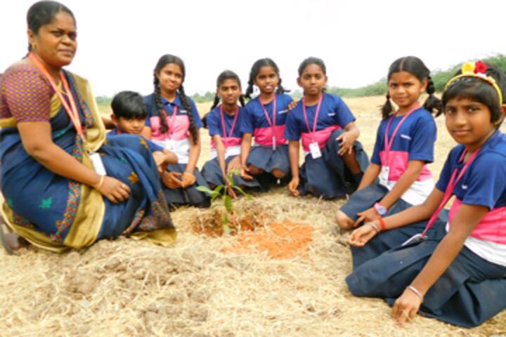 Gnanodaya International School-Plantation