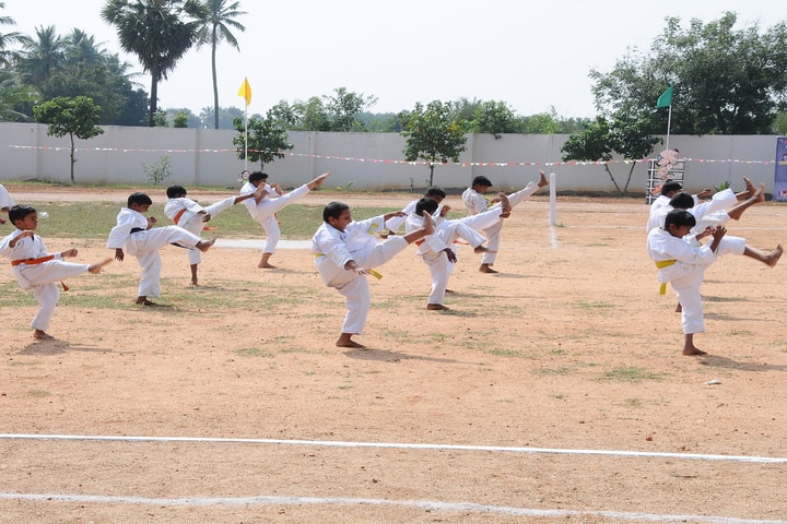 Green Valley Public School-Karate