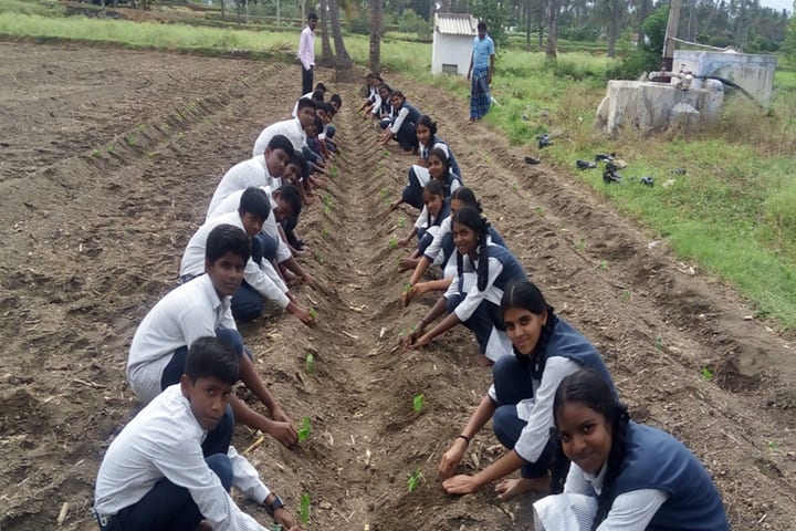 Heritage Vidhyalaya-Plantation