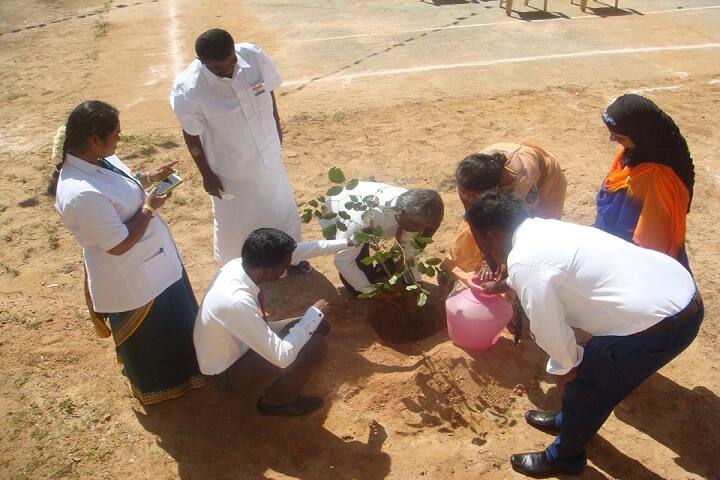 Hillock International School-Plantation