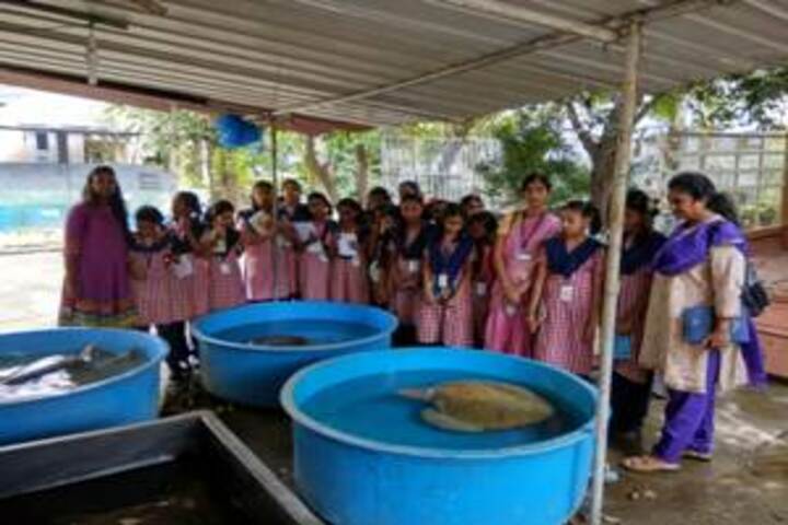 Hindu Colony Chellamal Vidyalaya-Field Trip