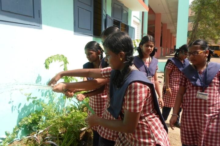 Hindu Colony Chellamal Vidyalaya-Plantation
