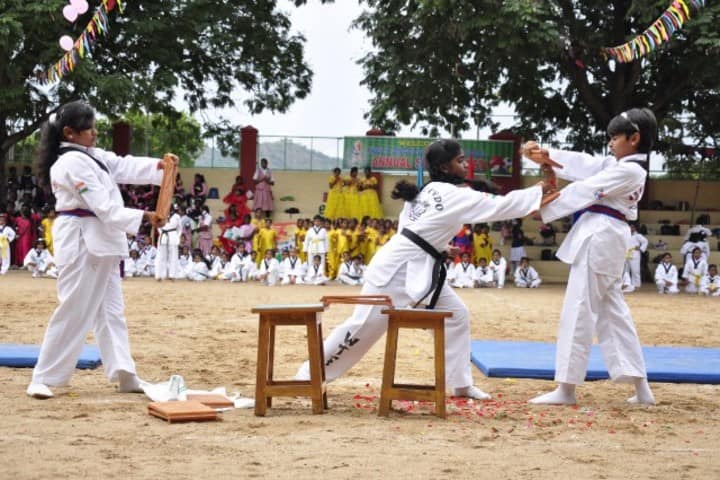 Holy Angels Public School-Karate