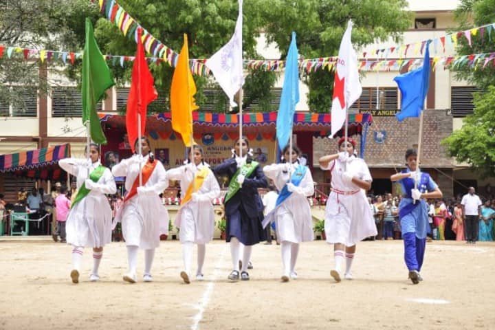 Holy Angels Public School-Sports Day