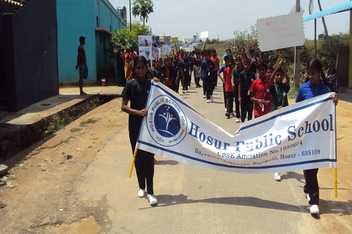 Hosur Public School-Rally
