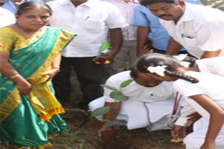 Jaya Jaya Sankara International School-Tree Plantation