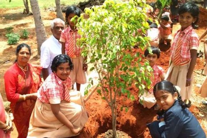 Jayanthi Public School-Tree Plantation