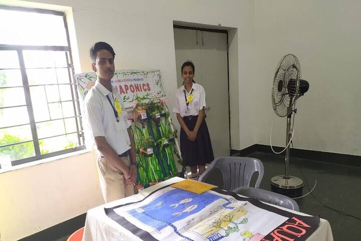 Open Minds A Birla School-Science Carnival