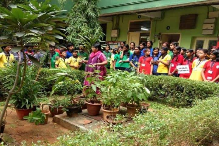 Kendriya Vidyalaya-Haritha Vidhyalaya