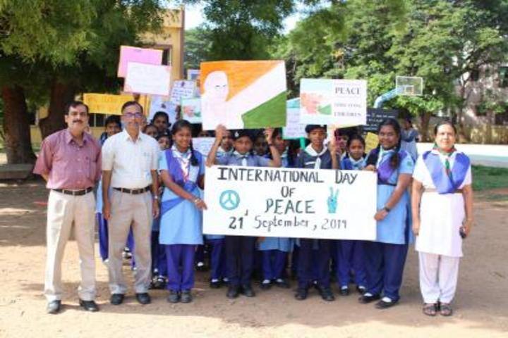 Kendriya Vidyalaya-Activity