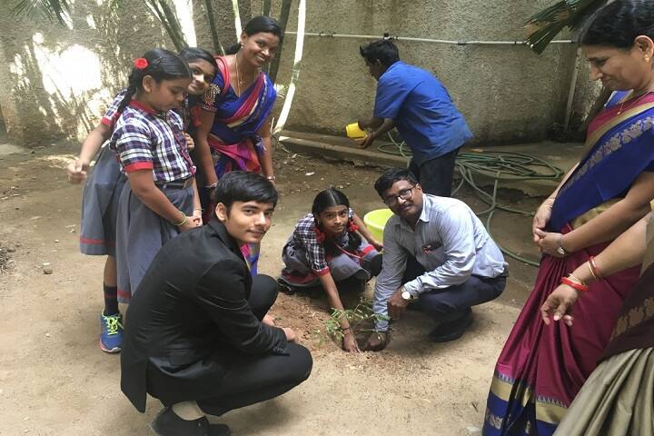 Kendriya Vidyalaya-Plantation
