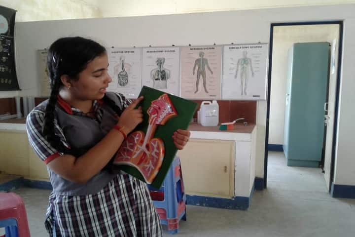 Kendriya Vidyalaya Thakkolam-biology lab