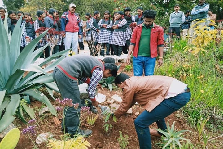 Kendriya Vidyalaya-Plantation