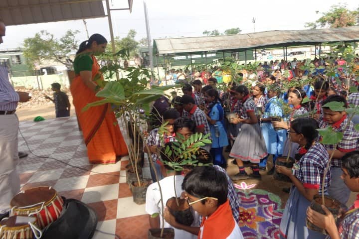 Kendriya Vidyalaya-Plantation