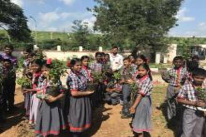 Kendriya Vidyalaya-Plantation