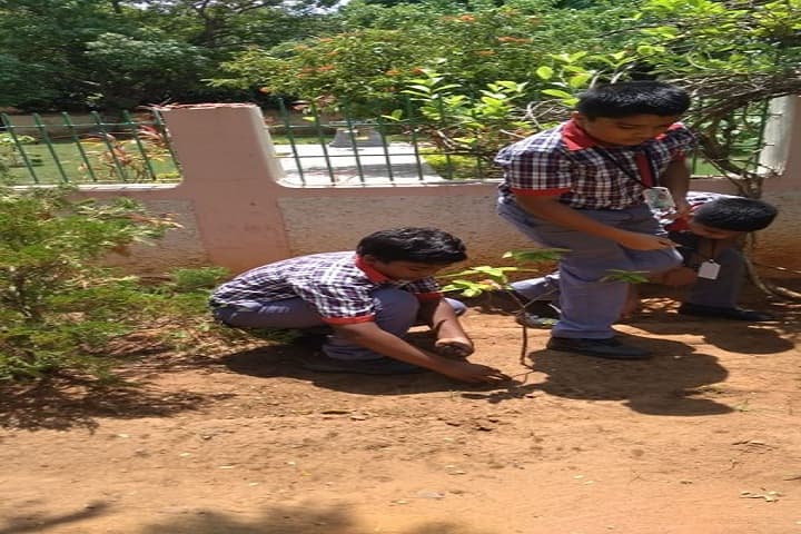 Kendriya Vidyalaya No-2-Green Day