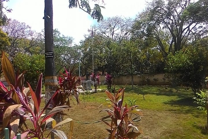 Kendriya Vidyalaya No-2-School Garden