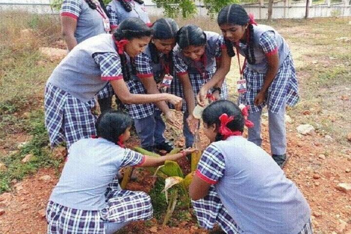 Kendriya Vidyalaya-Tree Plantation