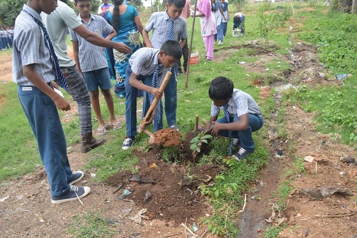 Kings And Queens Residencial School-Tree Planting