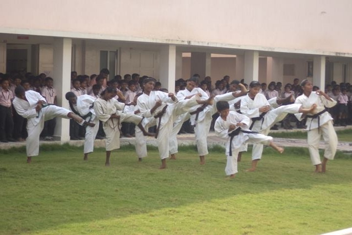 Krishnaswamy Vidyanikethan School-Karate Classes