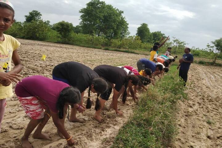 KRM Public School-Argo Farming
