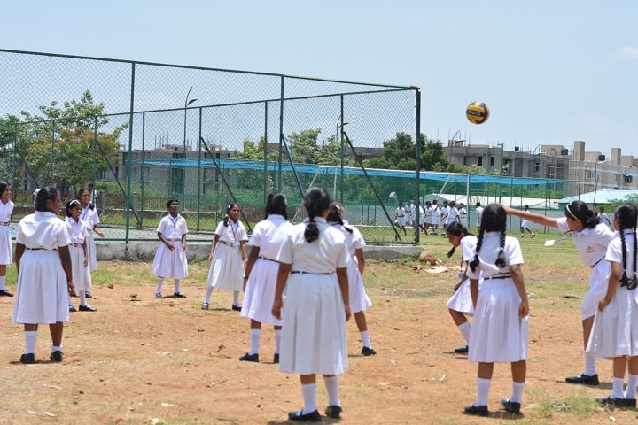 Lightworkers Academy-Play Ground