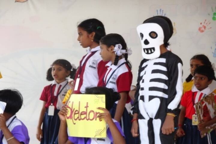 Little Kingdom School-Fancy Dress
