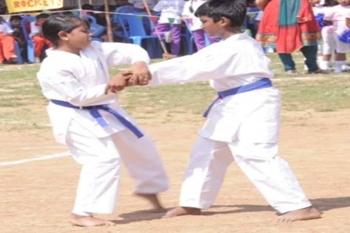 M A V Vidyashram-Karate