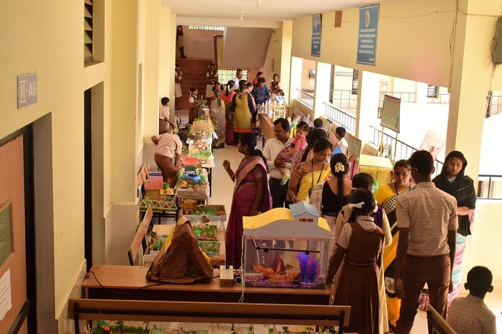 Maharishi Vidya Mandir-Science Exhibition