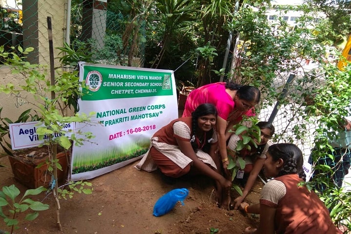 Maharishi Vidya Mandir-Green Day